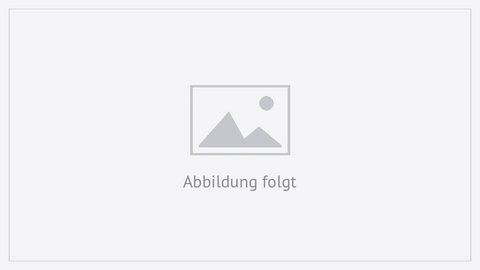 Google Pixel Watch 5 - 45mm Bluetooth/WLAN mit Vertrag