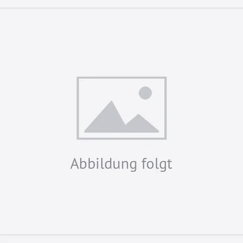 Google Pixel Watch 5 - 41mm Bluetooth/WLAN mit Vertrag